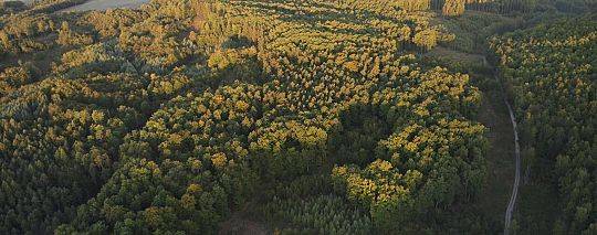 Grafika Budowa sieci kanalizacji sanitarnej w miejscowości Stężyca